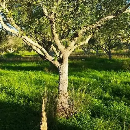 Casa Katina , In Lagana, Agrilia Area