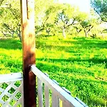 Casa Katina , In Lagana, Agrilia Area Hébergement de vacances *