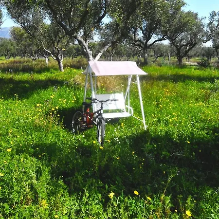 Prázdninový dům Casa Katina , In Lagana, Agrilia Area