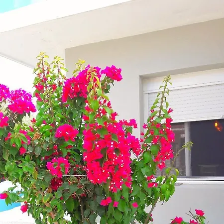 بيت للعطل Casa Katina , In Lagana, Agrilia Area